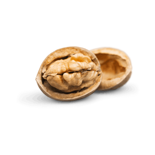 Business Coaching Christina Menz