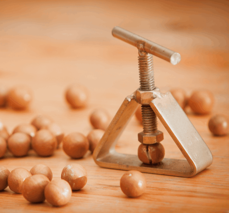 Business Coaching Thüringen Erfurt mit Headnut Consulting