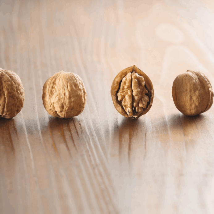 Headnut Consulting Coaching  Thüringen